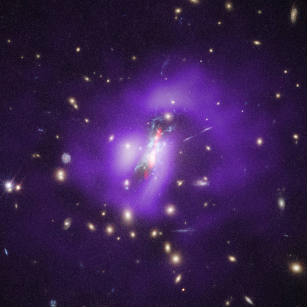 Super massive black holes inside a galaxy cluster