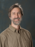 Image of Professor David Weinberg