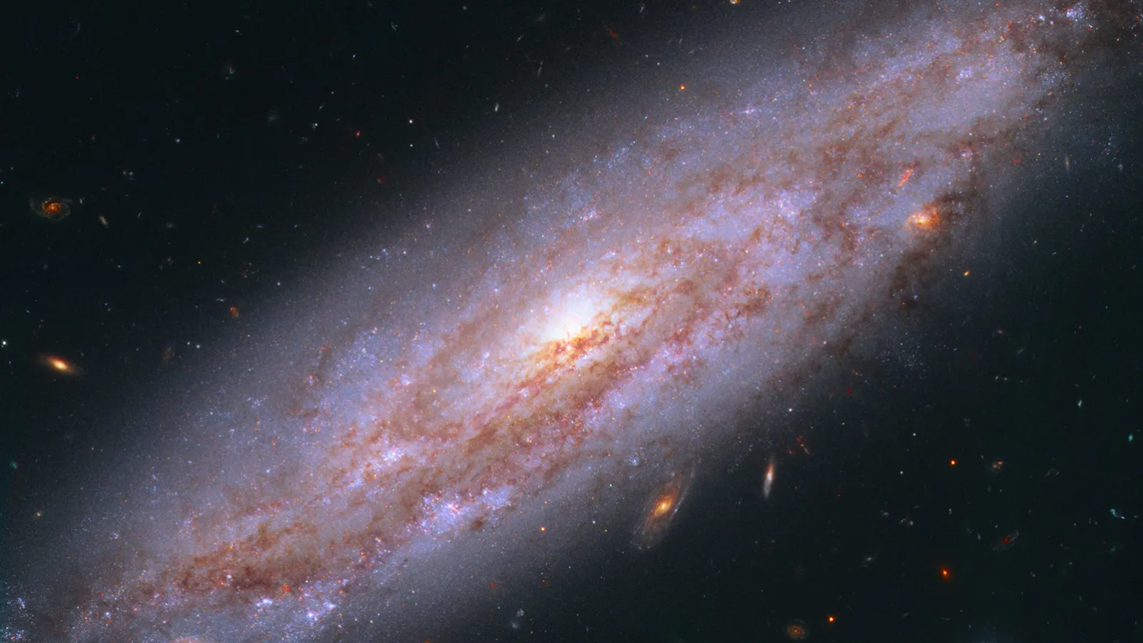 Spiral Galaxy