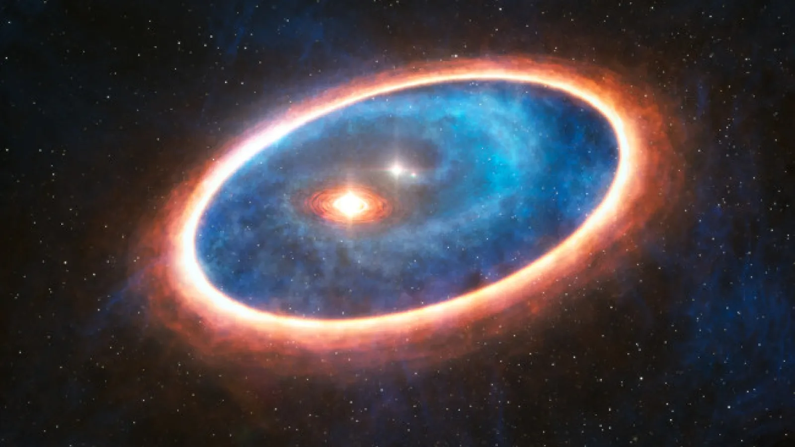 Circumbinary Disk