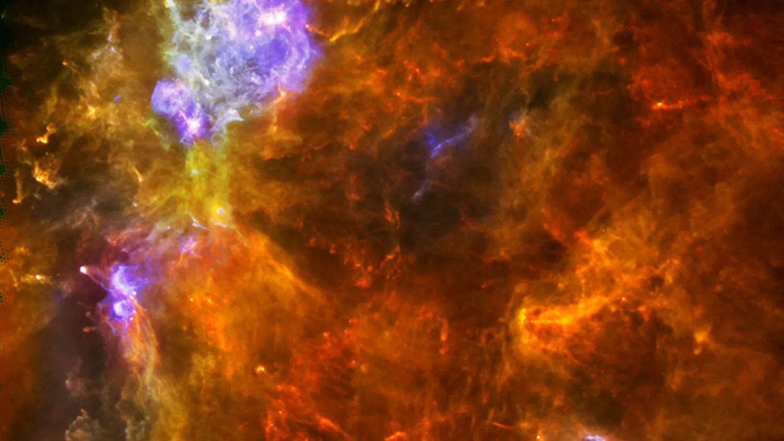W3 star-forming region from the Herschel Space Telescope 
