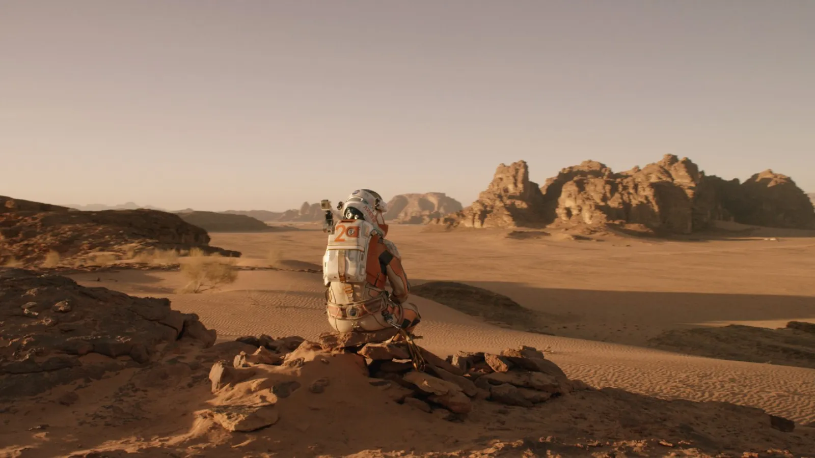 Mark Watney from the Martian