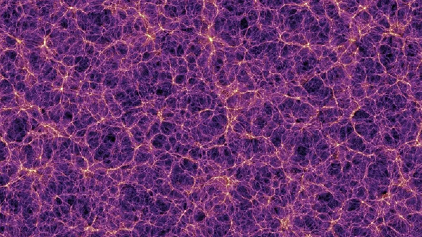 Image from a simulation of cold dark matter and clustering in the cosmic web