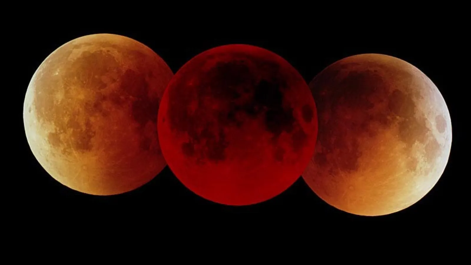 Photos of a total lunar eclipse (copyright Fred Espenak)
