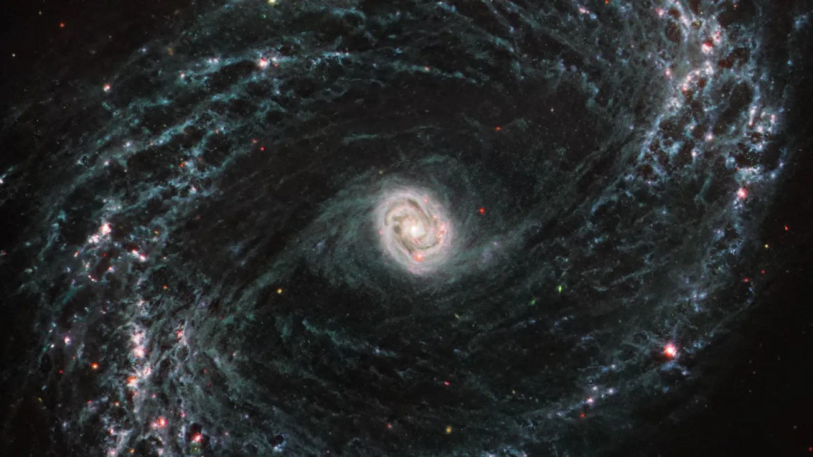 JWST Image of NGC1433 Credit: NASA/ESA/CSA/J. Lee of NOIRLab/A. Pagan of STScI