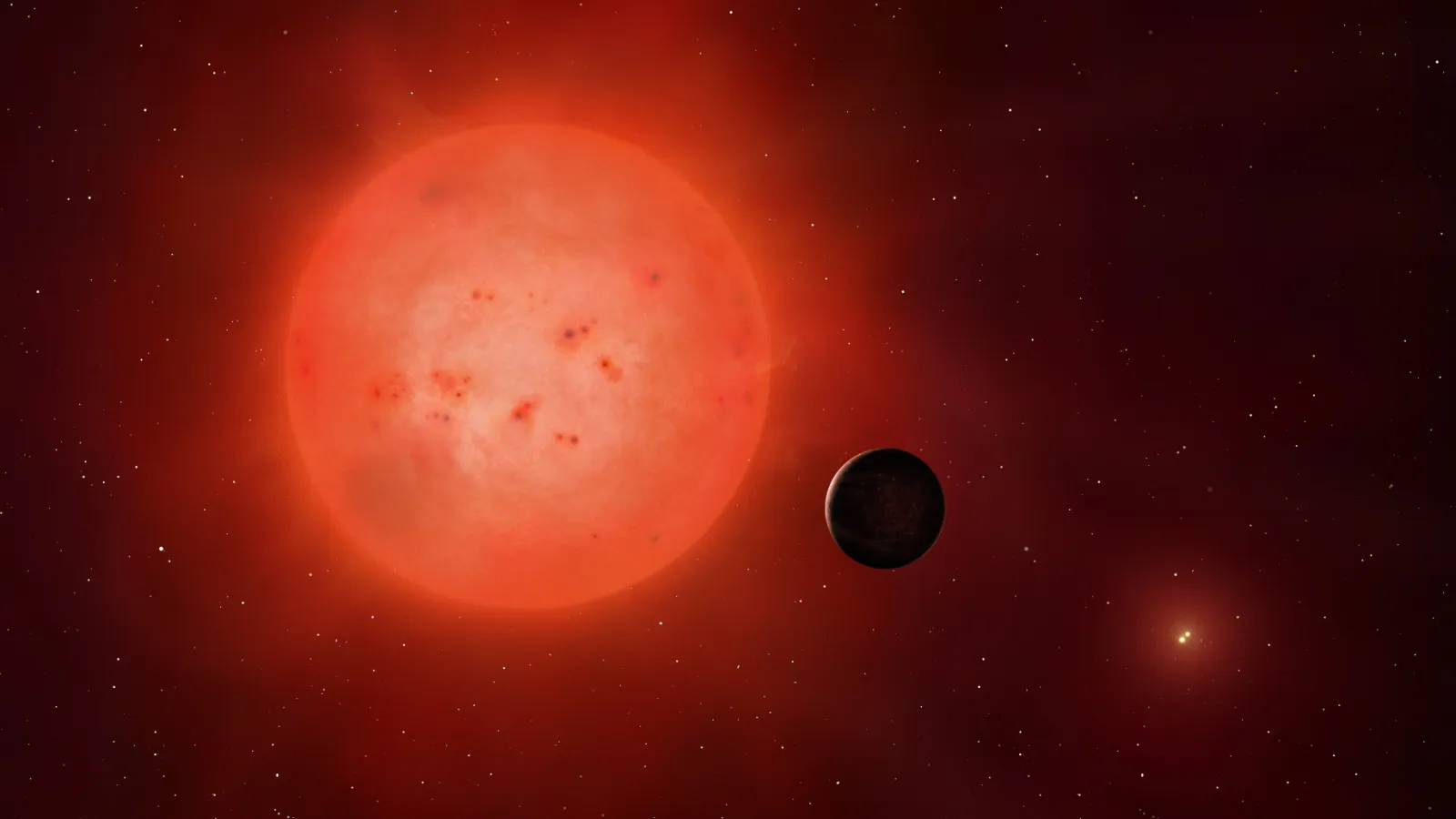 Circumbinary Planet - a planet orbiting two stars
