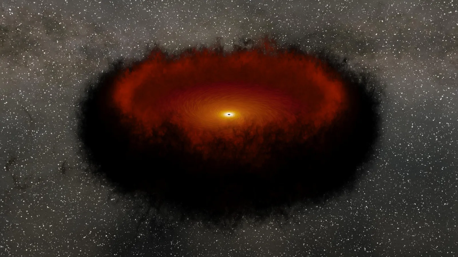 Black Hole Reverberation Mapping