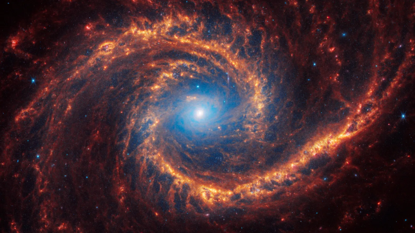 NGC1566 recorded by PHANGS