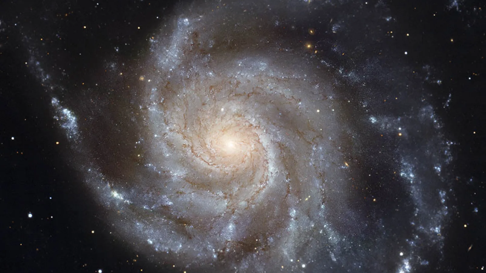 Spiral Galaxy M101