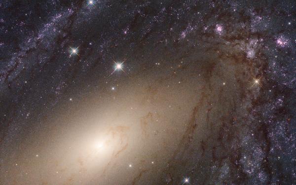 Spiral Galaxy close