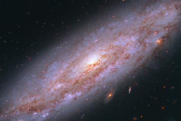 Spiral Galaxy
