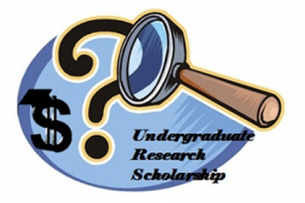 Undergraduate Research Scholarship Image
