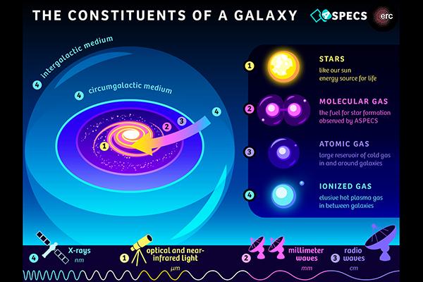 ASPECS Survey - Constituents of a galaxy infographic