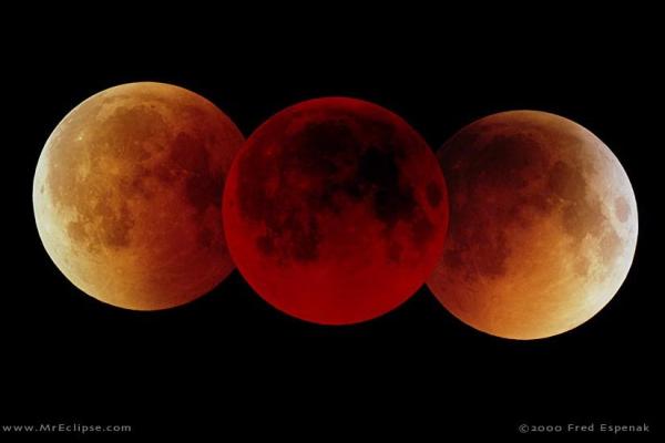 Photos of a total lunar eclipse (copyright Fred Espenak)