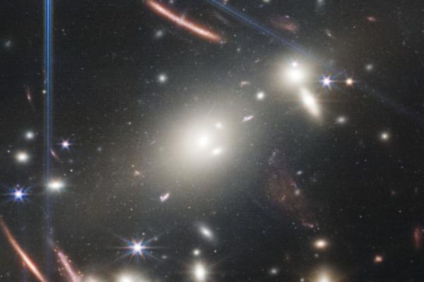 JWST Brightest Cluster Galaxy