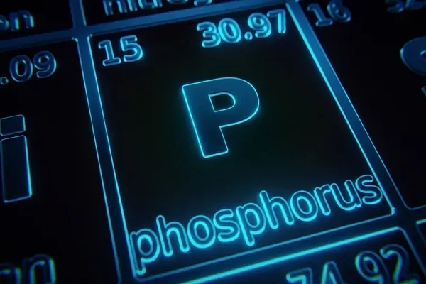 Phosphorus on the Periodic Table