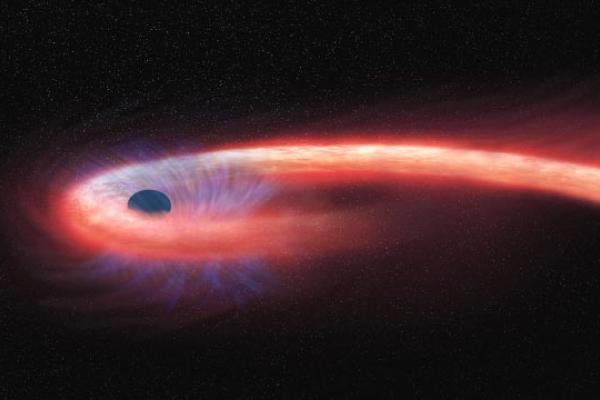 Artist's conception of a tidal disruption event, which is when a star is torn apart by a black hole. (NASA/CXC/M. Weiss)