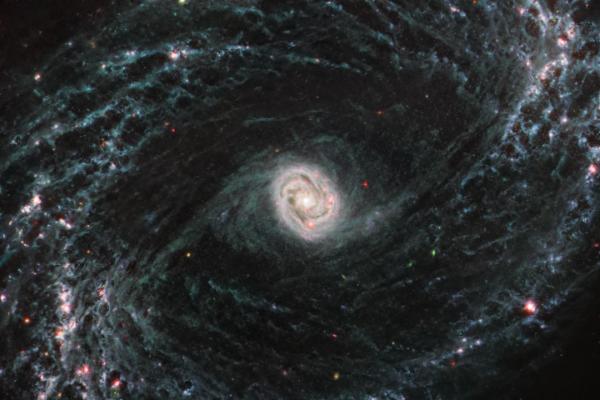 JWST Image of NGC1433 Credit: NASA/ESA/CSA/J. Lee of NOIRLab/A. Pagan of STScI