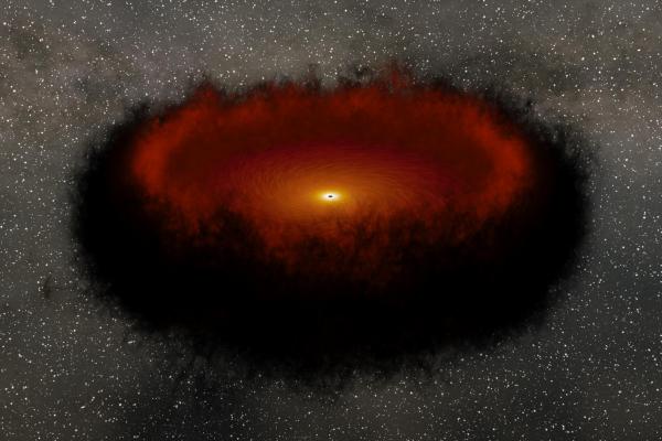 Black Hole Reverberation Mapping