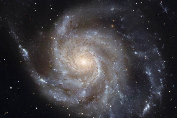 Spiral Galaxy M101