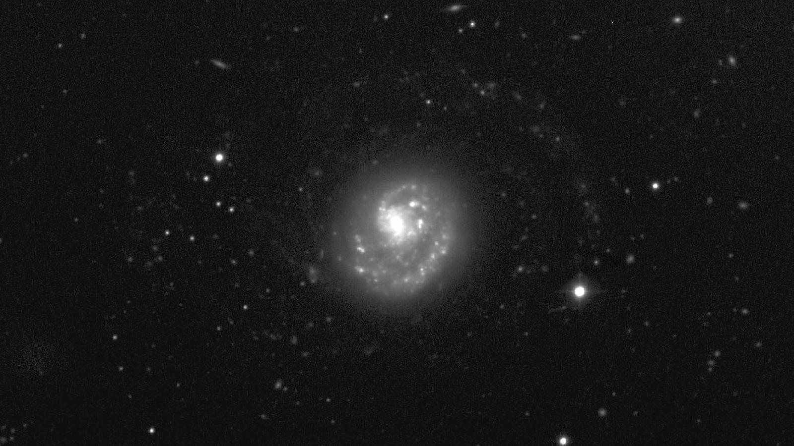 Narrow-band H-alpha image of galaxy NGC4625 using OSMOS on the MDM 2.4m telescope